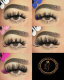 THE COLOR SHOCK LASH BOOK 🌈⚡️