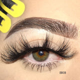 6D Luxe Lashes