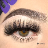 6D Luxe Lashes