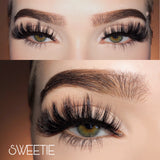 6D Luxe Lashes