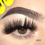 6D Luxe Lashes